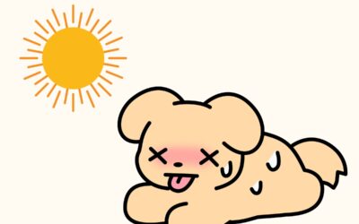 Heat Stroke In Dogs: Know The Signs & Stay Safe This Summer!