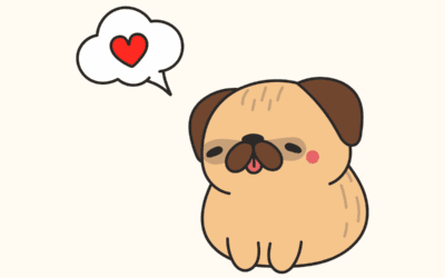 ❤️ A Guide for the Big-Hearted: Navigating Congestive Heart Failure in Your Pet