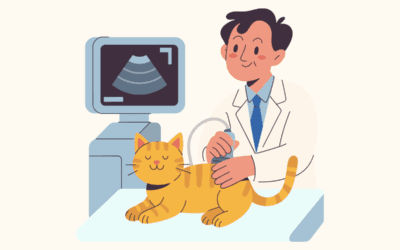 🩺 A Clearer Picture: Understanding Pet Ultrasounds