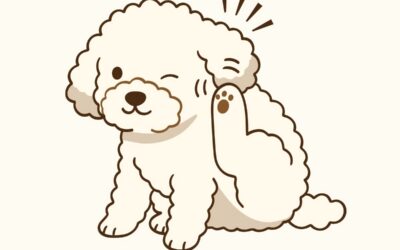 Pet Allergies